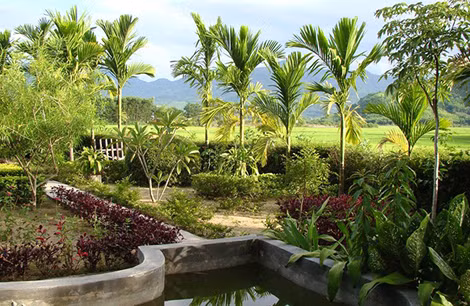 Vườn thôn Vĩ Dạ (Huế). Vườn thôn Vĩ Dạ (Huế).