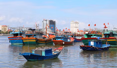 Dù thời tiết tốt, nhưng do thiếu lao động nên nhiều tàu thuyền của ngư dân Quảng Bình đành neo tàu nằm bờ.