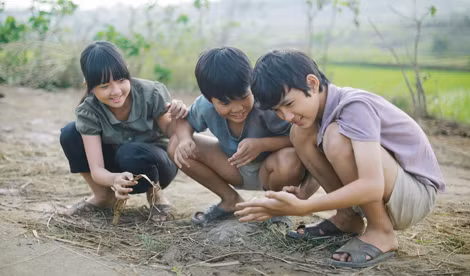 Cần có thêm nhiều bộ phim hợp tác giữa Nhà nước và tư nhân như “Tôi thấy hoa vàng trên cỏ xanh”. Cần có thêm nhiều bộ phim hợp tác giữa Nhà nước và tư nhân như “Tôi thấy hoa vàng trên cỏ xanh”.