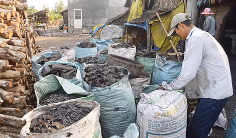Nghề hầm than cho thu nhập cao, nhưng người dân phải đối diện với tình trạng ô nhiễm môi trường.
