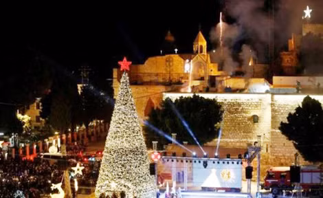 Chiêm ngưỡng cây thông Noel “đồng xu vàng” đắt nhất Châu Âu