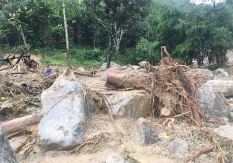 Hàng nghìn khối đất đá, cây cối theo dòng nước tràn xuống