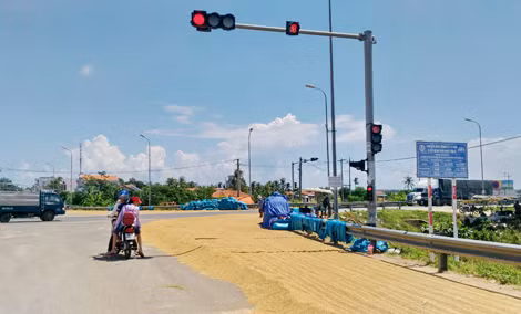 Hiểm họa tai nạn khi đường lộ bị biến thành sân phơi lúa