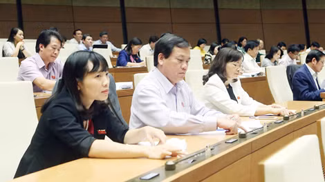 Các đại biểu biểu quyết thông qua Luật.