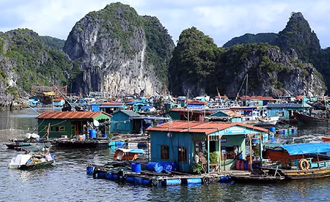 Cần bảo vệ hiệu quả rạn san hô tại các khu danh thắng, bảo tồn biển ảnh 3