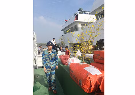 Cây mai và hàng Tết được vận chuyển lên tàu. Cây mai và hàng Tết được vận chuyển lên tàu.