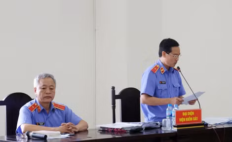 Đại diện Viện kiểm sát trình bày quan điểm tại phiên toà.