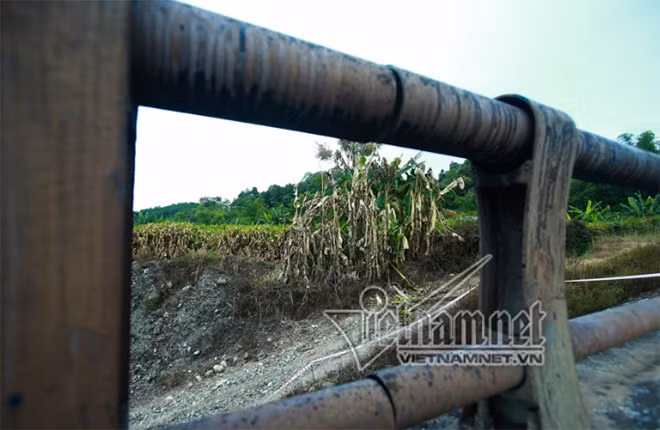 Cây cối gần cầu Ngòi Thủ bị thiêu cháy