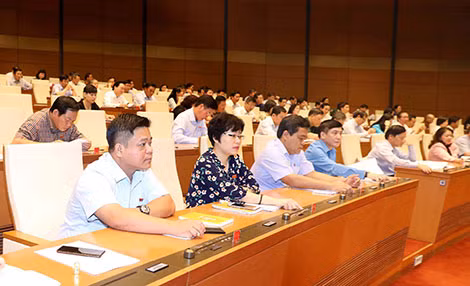 Đại biểu Quốc hội biểu quyết thông qua Luật Quốc phòng (sửa đổi). Ảnh: TTXVN