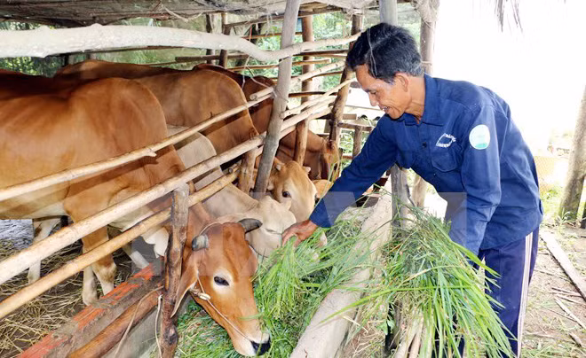 Việt Nam đã đạt được nhiều thành tựu trong công tác xóa đói giảm nghèo. Việt Nam đã đạt được nhiều thành tựu trong công tác xóa đói giảm nghèo.