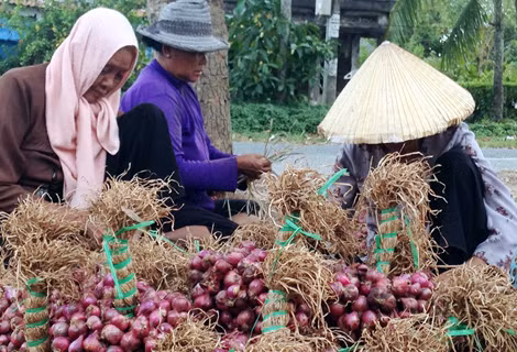 Tiêu thụ nông sản cho bà con nông dân, không thể lệ thuộc vào cái “tình” của cộng đồng. Tiêu thụ nông sản cho bà con nông dân, không thể lệ thuộc vào cái “tình” của cộng đồng.