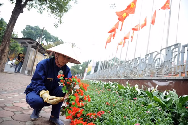 Những nhân viên Công ty Cây xanh Hà Nội sớm nay vẫn đang cẩn thận chăm chút, tô điểm.