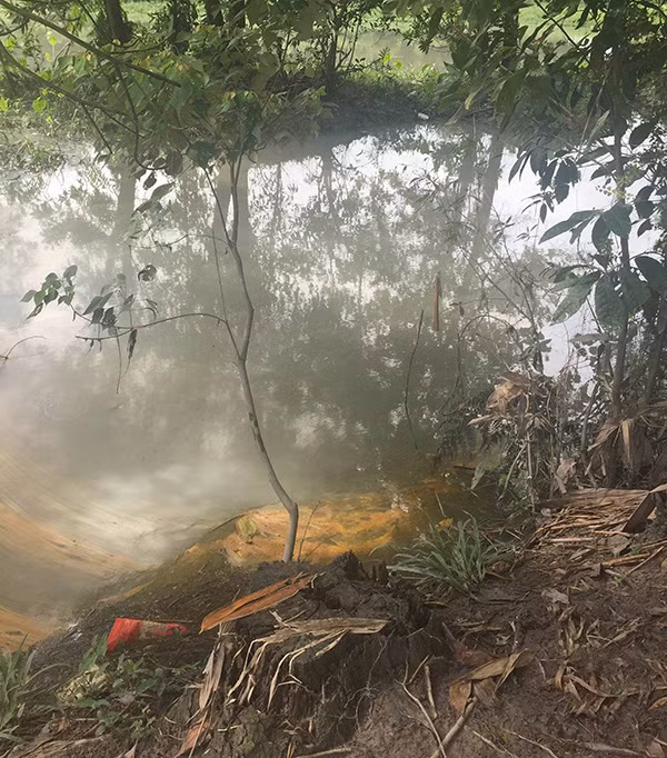 Hàng trăm lít dầu tràn ra suối do rò rỉ đường ống dẫn dầu, sau đó người dân quăng củi đốt khiến cây cối khu vực suối Bưng Dục bị cháy xém.