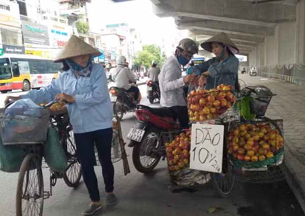 Hà Nội có dẹp được tình trạng trái cây bán rong, không rõ nguồn gốc?