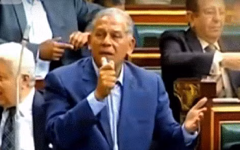 Anwar el-Sadat, cháu trai cố Tổng thống Ai Cập Anwar Sadat.