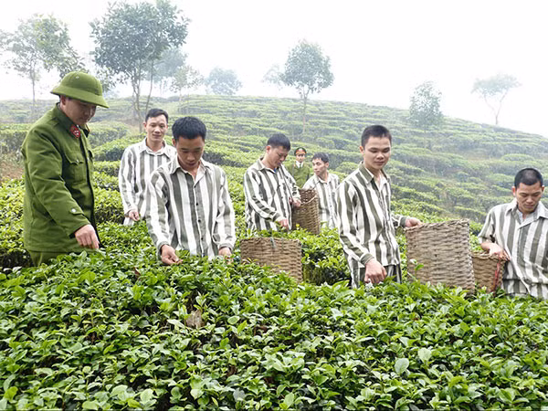 Cán bộ, chiến sỹ Trại giam Hồng Ca hướng dẫn phạm nhân lao động.
