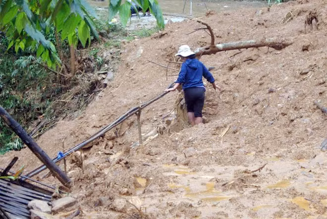 Bà Hồ Thị Diêu đến nơi ở cũ moi đất, đá để cố tìm tàu sản bị đất đá chôn vùi.