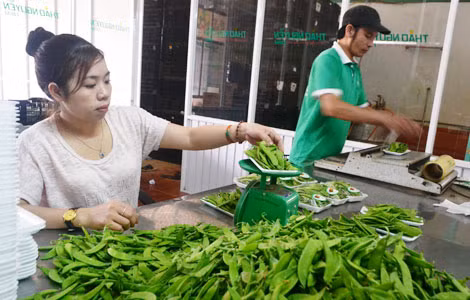 Đóng gói sản phẩm nông nghiệp trước khi xuất đi tiêu thụ trong phòng cách ly tại gia đình ông Nguyễn Lam Sơn.