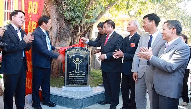 Lãnh đạo Thành phố Hải Phòng dự lễ gắn bia cây di sản.