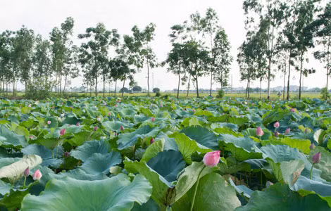 Ảnh trong bài: Nguyễn Hoàng Lâm. Ảnh trong bài: Nguyễn Hoàng Lâm.