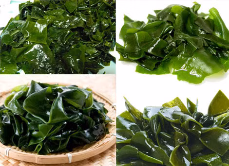 Thực phẩm từ rong, tảo biển. Thực phẩm từ rong, tảo biển.