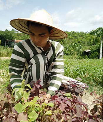 Phạm nhân Phạm Đình Duẩn đang lao động. Phạm nhân Phạm Đình Duẩn đang lao động.
