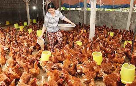Nguồn thực phẩm dồi dào sẽ tránh được tình trạng lợi dụng khan hàng đẩy giá cao trong dịp Tết.