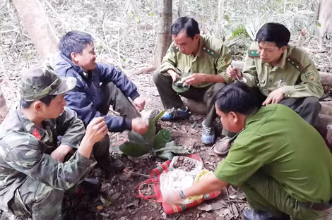 Lực lượng Công an và Kiểm lâm tăng cường phối hợp trong quản lý bảo vệ rừng. Lực lượng Công an và Kiểm lâm tăng cường phối hợp trong quản lý bảo vệ rừng.