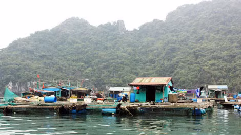 Đà Nẵng kiên quyết chấm dứt việc nuôi trồng thủy sản trái phép ảnh 8