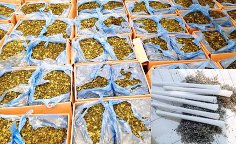 Cỏ Mỹ và lá Khat.