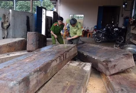 Số gỗ bị phát hiện.