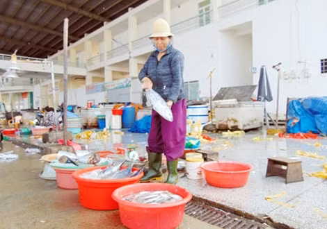 Dù hải sản đánh bắt từ khơi xa đưa về, song sức mua của người tiêu dùng ở TP Đà Nẵng đã giảm 50%.