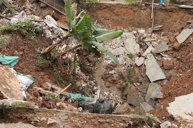 Cây cối bị kéo xuống hố.