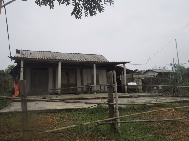 Nhiều căn nhà để hoang. Nhiều căn nhà để hoang.