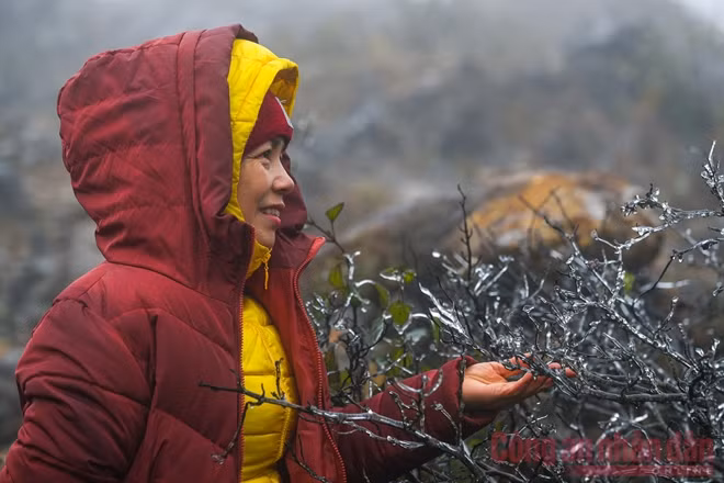 Mặc dù rét buốt, băng giá nhưng rất nhiều du khách từ khắp nơi đã tới Sapa vào cuối tuần này.