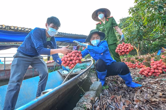 Công an huyện, đoàn viên thanh niên vận chuyển vải lên thuyền.