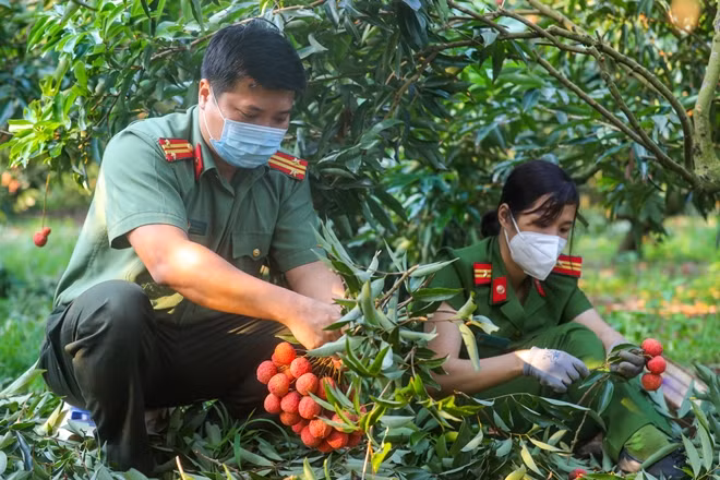 Trung tá Lê Thành Văn - Phó Trưởng Công an huyện Lục Ngạn (bên trái) cũng đã có mặt ngay từ sớm với đồng đội chung tay giúp đỡ bà con.