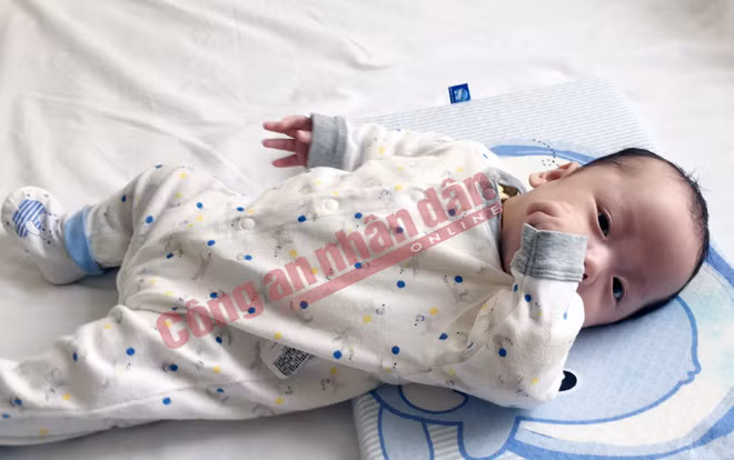 "Trộm vía", bé Gấu rất tinh nghịch và ngoan.