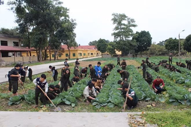 Thầy trò Trường Văn hóa I tăng gia sản xuất.