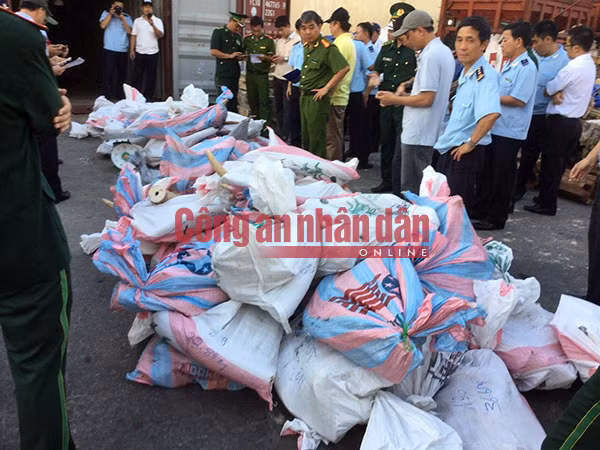 Cán bộ chiến sĩ Cục C74 khám phá buôn lậu ngà voi cực "khủng" qua cảng Tiên Sa, Đà Nẵng. Cán bộ chiến sĩ Cục C74 khám phá buôn lậu ngà voi cực "khủng" qua cảng Tiên Sa, Đà Nẵng.