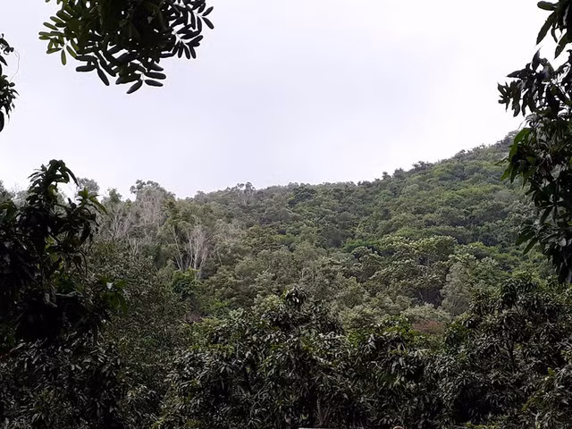 Khu vực chùa Kim Liên, nơi tin báo về cho biết đã phát hiện các mảnh vỡ máy bay và thi thể 3 người bị nạn.
