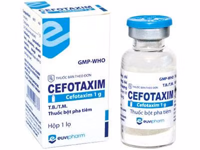 Cefotaxim là loại thuốc nằm trong danh mục Bộ Y tế cấm sử dụng ở tuyến xã. Cefotaxim là loại thuốc nằm trong danh mục Bộ Y tế cấm sử dụng ở tuyến xã.