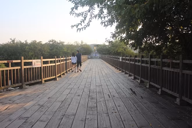 Sát cạnh quảng trường trong công viên là cây cầu Tự do dài 83m, rộng 4,5m, cao 8m được làm bằng gỗ thông và sắt, bắc ngang dòng sông Imjingang nối hai bờ Triều Tiên. Tên của cây cầu bắt nguồn từ những tiếng hô “Tự do” của những người lính được trao trả sau Hiệp định ngừng bắn năm 1953 đặt những bước chân đầu tiên lên cầu sau khi trở về từ bên kia chiến tuyến.