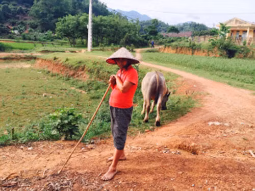 Người dân ở Đồng Mậm vất vả mưu sinh.