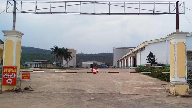 Nhà máy cồn Đại Tân bị "tê liệt" sau sự cố tràn dầu fusel.