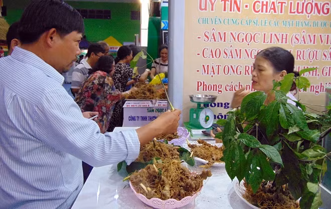 Phiên chợ sâm Ngọc Linh đã trở thành "thương hiệu" đối với khách hàng trong và ngoài tỉnh Quảng Nam.