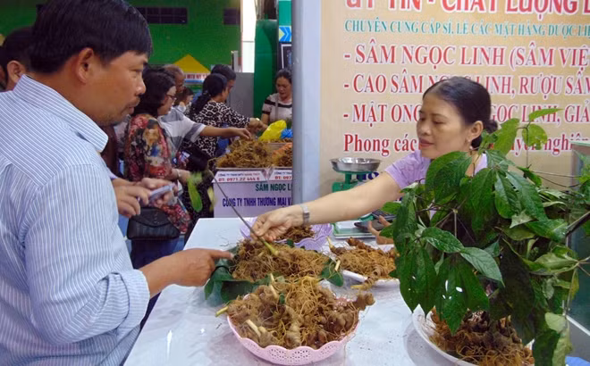 Du khách tham quan, mua sản phẩm tại phiên chợ sâm Ngọc Linh.