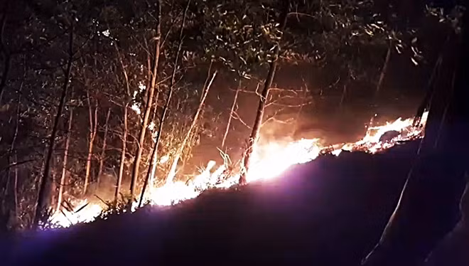 Hàng trăm người xuyên đêm chữa cháy 3 vụ cháy rừng tại Quảng Nam.