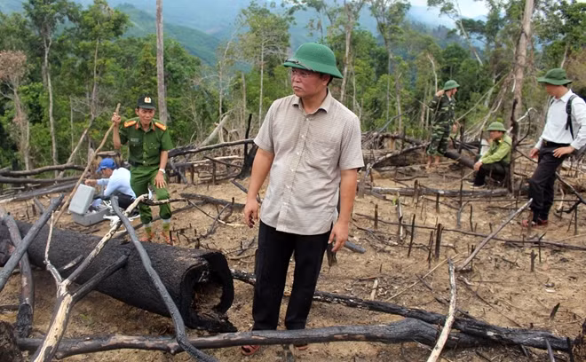 Ông Lê Trí Thanh đi thực tế một vụ phá rừng xảy ra tại huyện Tiên Phước, tỉnh Quảng Nam.