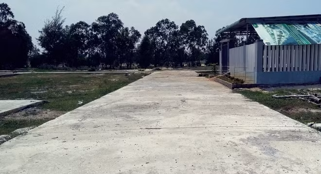 Khu đất nông nghiệp của ông Vỹ đã biến thành khu đất nền trái phép.